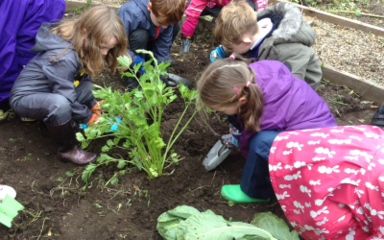 Allotment Visit