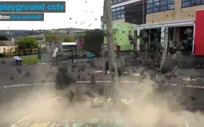 KS1 yard disaster