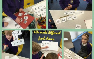Making Food Chains (Habitats)