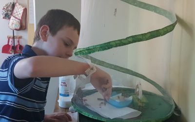 Successfull science project work at home