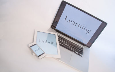 Online Learning Suggestions from the DFE