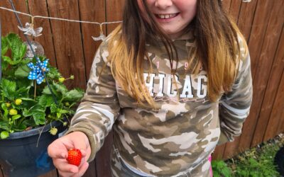 Gardening success