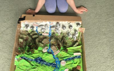 Erin’s River Project