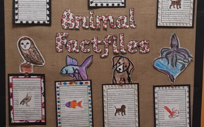 1/2 M’s Animal Factfiles