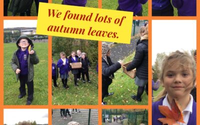 Autumn Leaf Hunt!