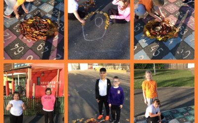 Outside art- dragon’s eyes using autumn leaves.
