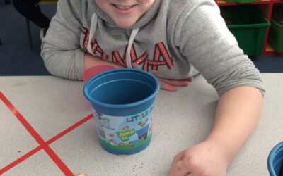 We planted daffodils today!