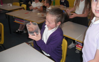 The brain in the box ‘eggsperiment’