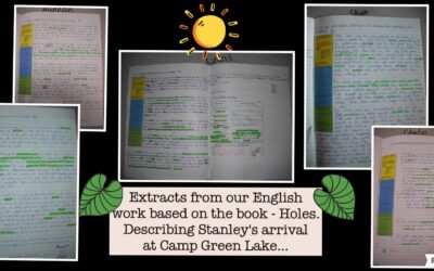 We are loving reading Holes by Louis Sachar