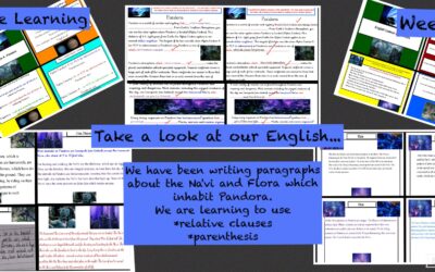 Take a look at our English work for this week…