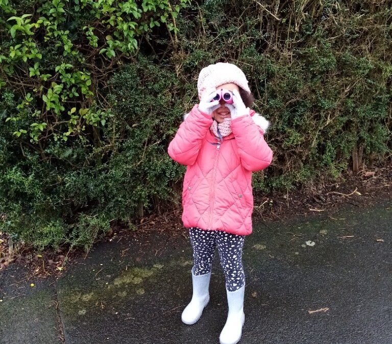 Birdwatching