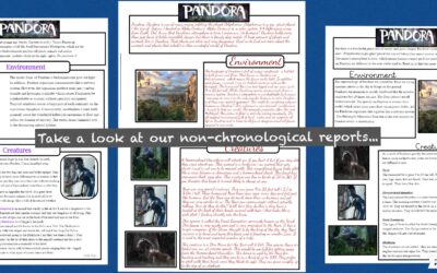 Take a look at our writing…