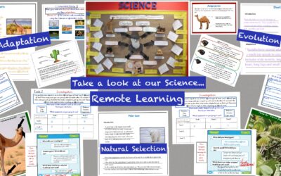Take a look at our Science work…