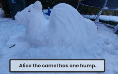 Alice the Camel Has…
