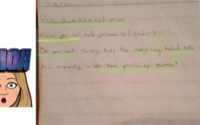 Instruction intros to blow your socks off 1.2M writing