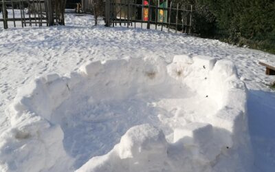 Stargazing igloo!