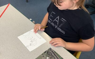 Our Fieldwork Investigations of our Local Area