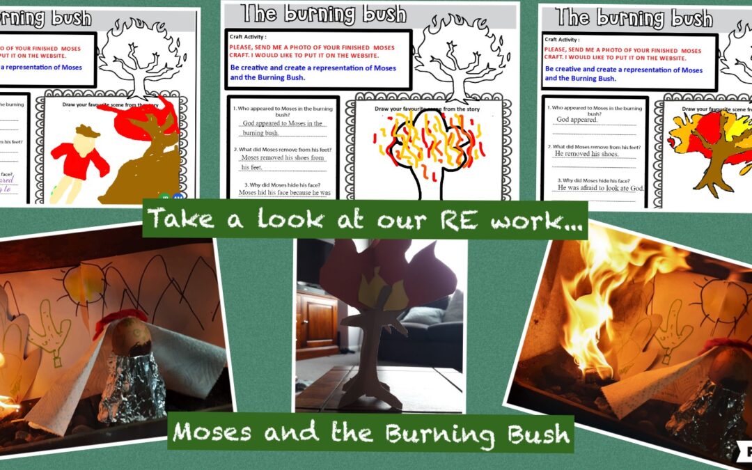 Take a look at our RE work…