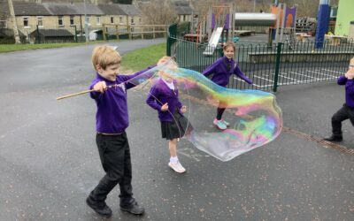 Bubbles Instructions put to the test