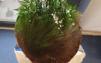 Bad Hair Day in 2W