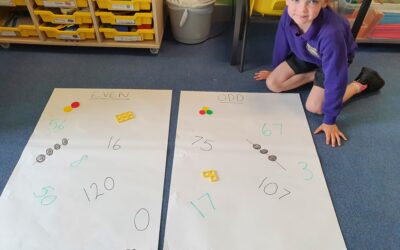 Odd and Even Numbers