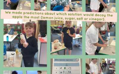 Which solution will decay the apple first?