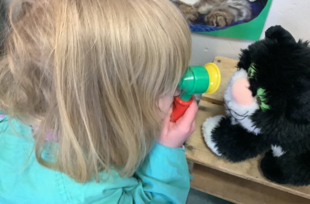The Early Years Vets is now open!