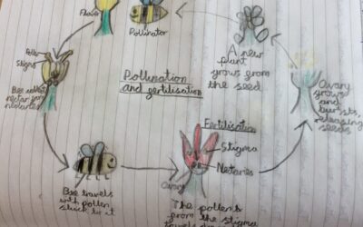 We are super Biologists!