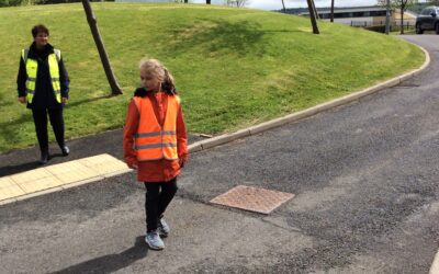 Pedestrian Training Part 2