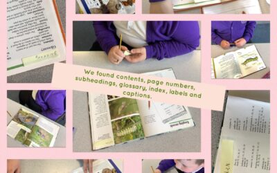 Finding features of information texts