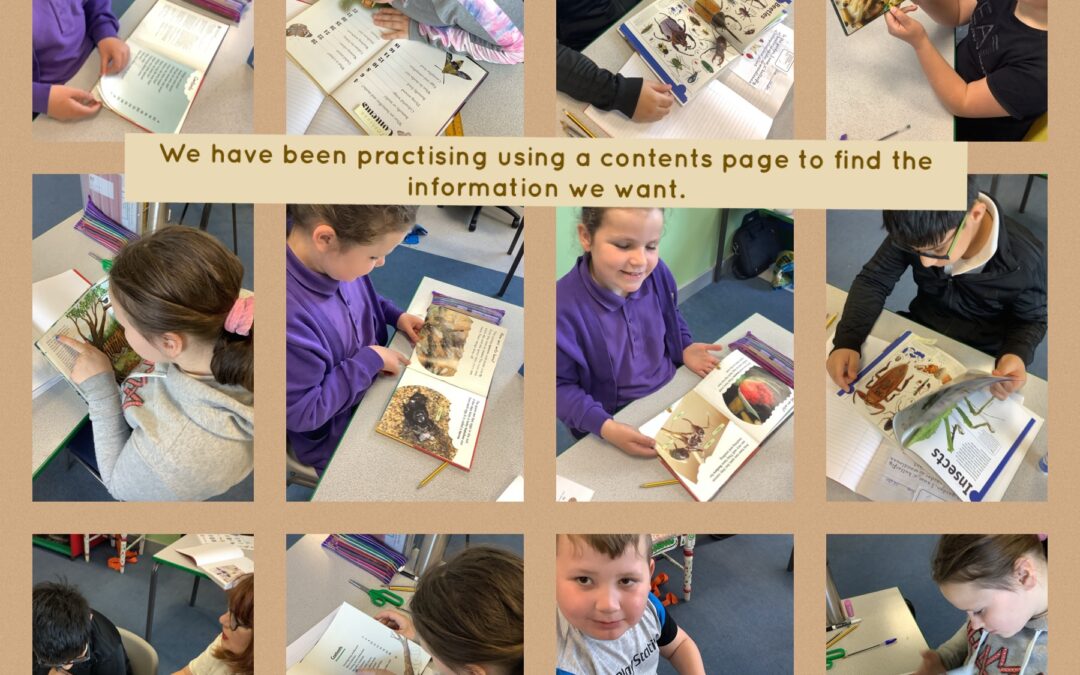 Using a contents page
