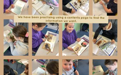 Using a contents page
