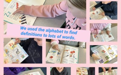 Using dictionary skills