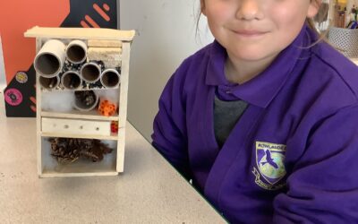 Our Bug Hotels