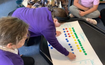 Making Tally Charts and Pictograms
