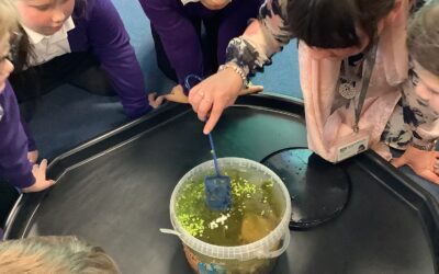 We have tadpoles in 7B!