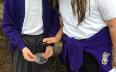 Year 4 Eco School.