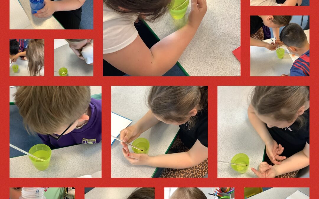 Using thermometers to measure temperature