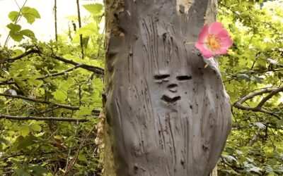 Forest Monsters?