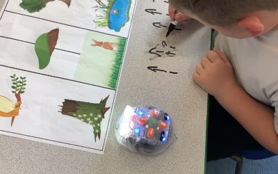 Programming the beebots