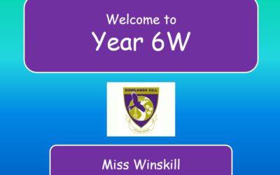 Meet the Teacher 6W
