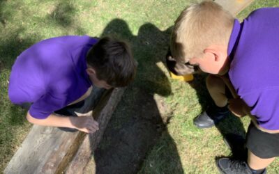 Invertebrate hunt