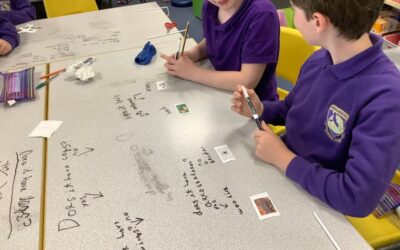 Identifying Invertebrates using a dichotomous key