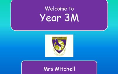 Meet the teacher
