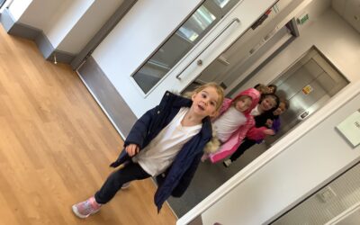 Our bear hunt