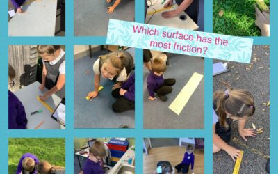 Which surface has the most/least friction?