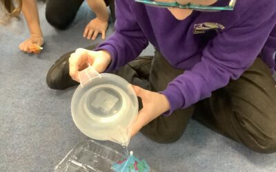 Which materials could be used to make an umbrella?