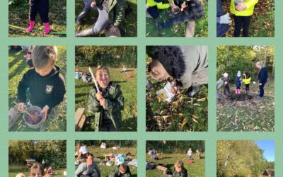 Fabulous fun in forest school!