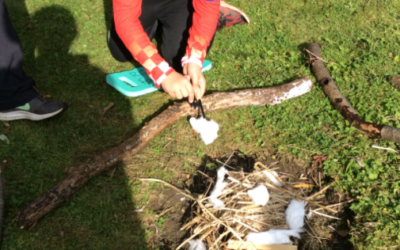 6A at Forest School.