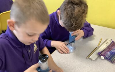 Minibeasts, Microscopes and Magnifying glasses